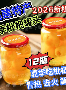 福建特产莆田枇杷罐头