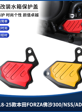 适用本田ADV350佛沙FORZA300 NSS350改装水箱网罩水泵装饰盖配件