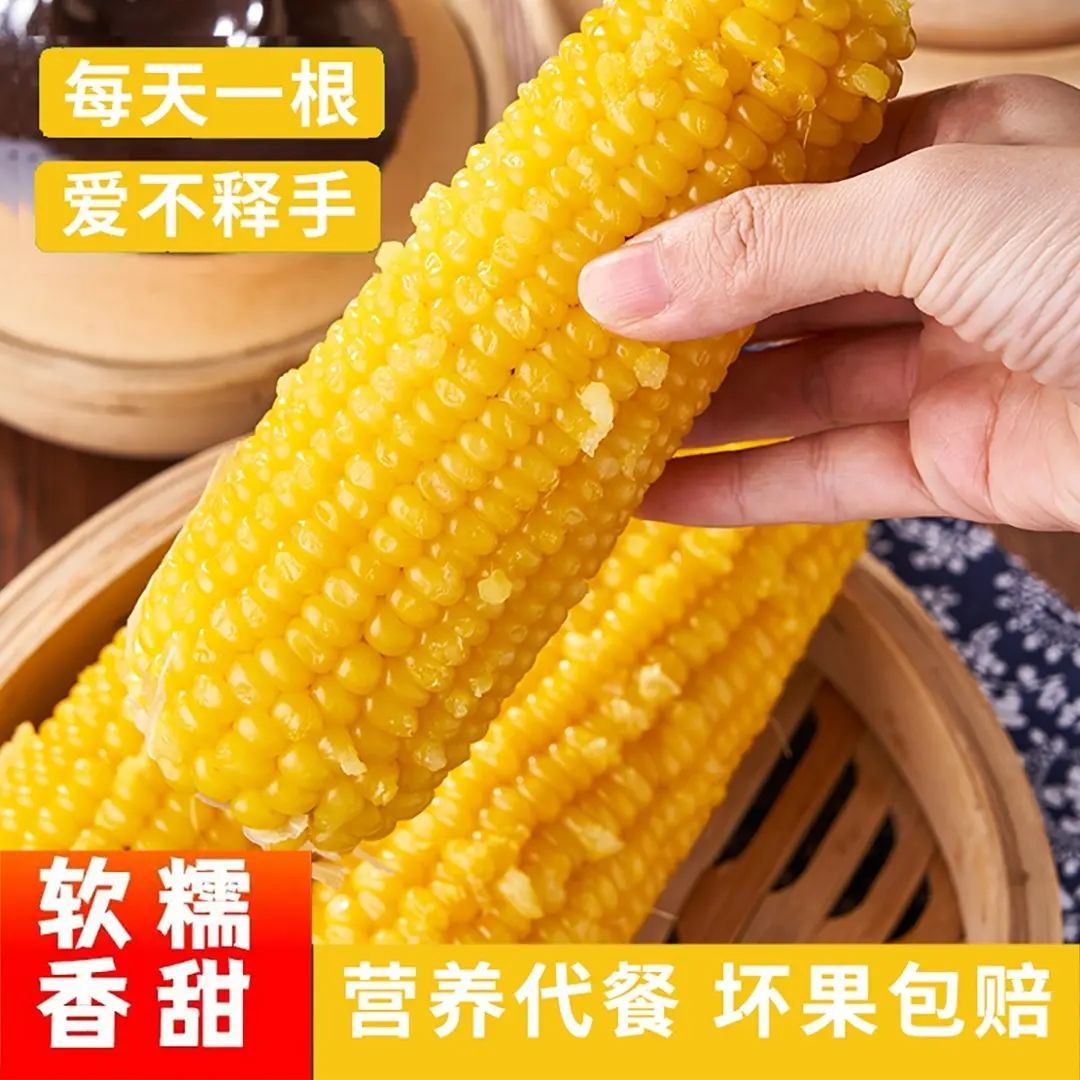 巴彦淖尔黄金甜糯玉米非转基因
