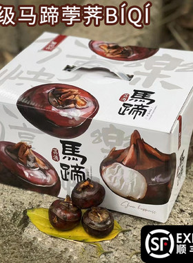 26年头茬特级荔浦旱田马蹄果王