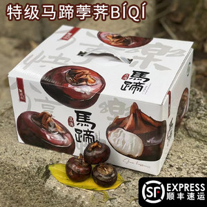 26年正宗荔浦马蹄特级荸荠桂林广西水果地栗当季新鲜蔬菜脆吉包邮