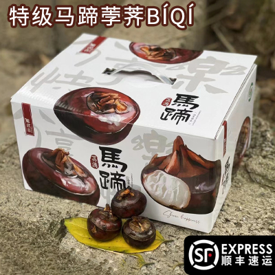 26年正宗荔浦马蹄特级荸荠桂林广西水果地栗当季新鲜蔬菜脆吉包邮
