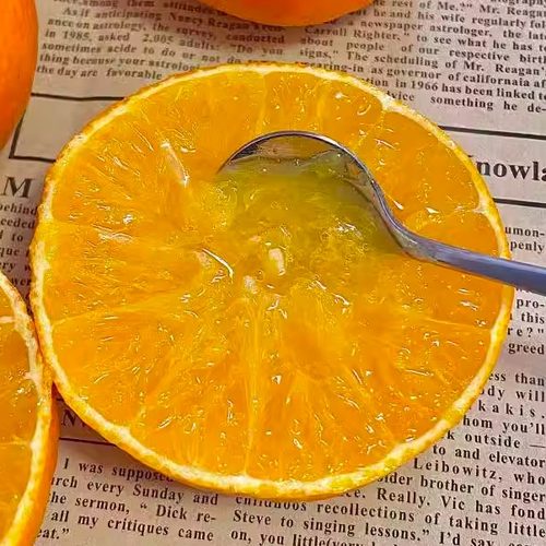 柑橘皇后正宗四川爱媛果冻耙耙柑