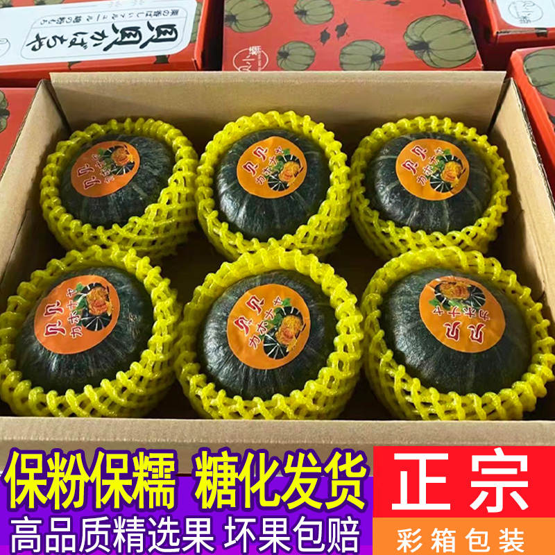 云南板栗味粉糯贝贝南瓜