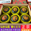 正宗山东贝贝南瓜粉糯板栗小南瓜旗舰店栗味惠和新鲜产地一号腚