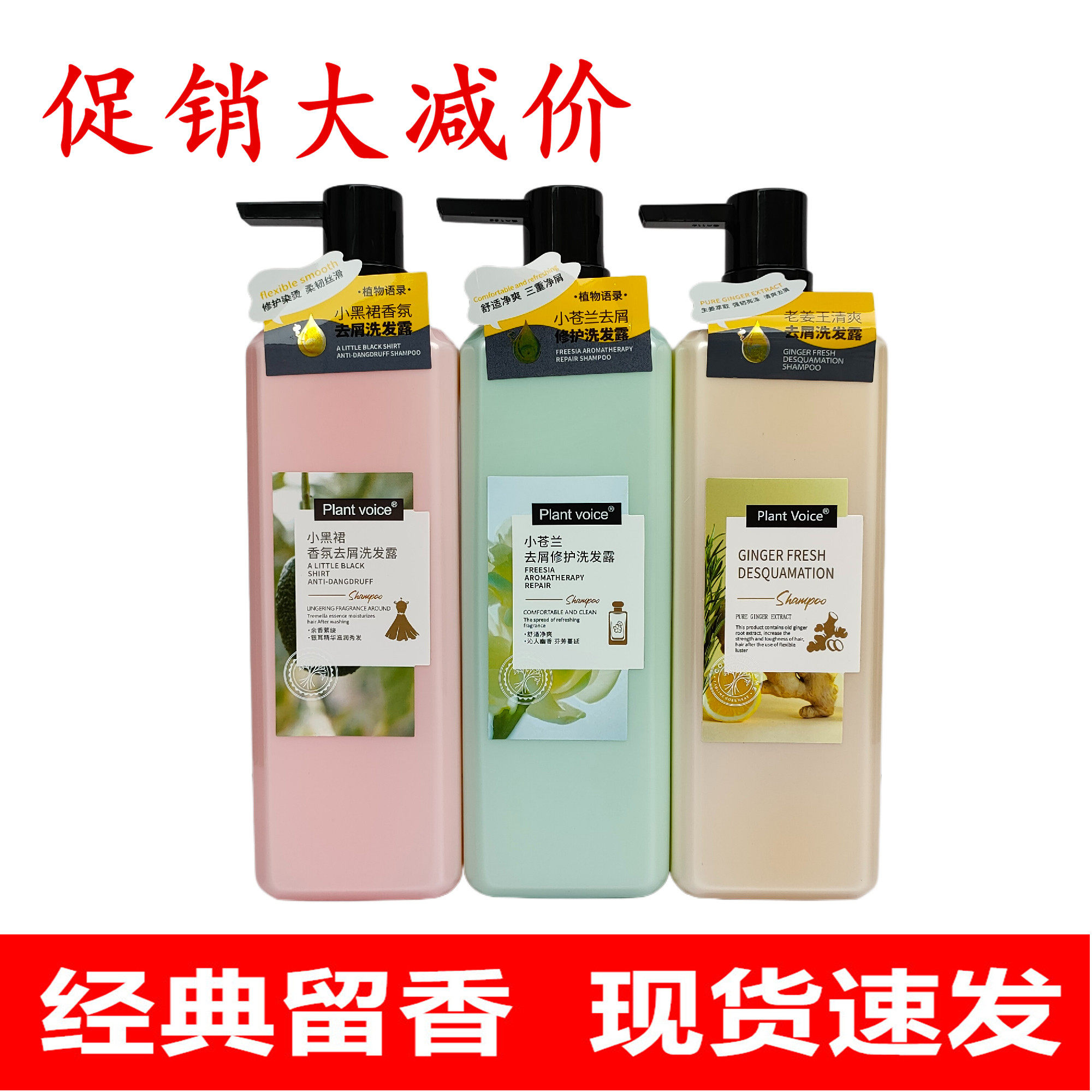 植物语录小黑裙小苍兰老姜王洗发