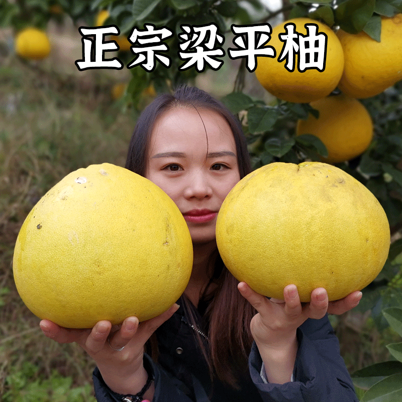 正宗梁平柚重庆特产梁山柚现摘现发农家新鲜水果白心柚子麻柚苦柚,水产肉类/新鲜蔬果/熟食,柚子,淘宝优惠券,粉丝福利购,淘宝优惠卷