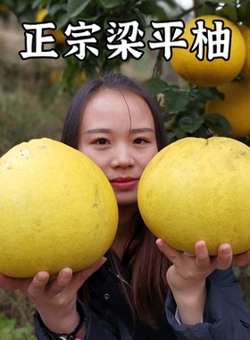 正宗梁平柚重庆特产梁山柚现摘现发农家新鲜水果白心柚子麻柚苦柚