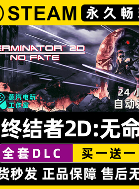 Terminator 2D: NO FATE 终结者2D:无命 Steam单机游戏序列号密钥
