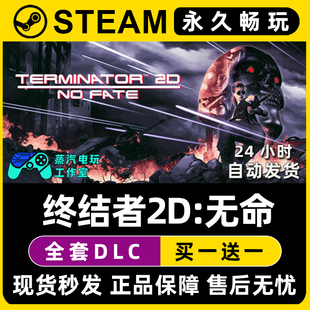 无命 终结者2D Steam单机游戏序列号密钥 FATE Terminator