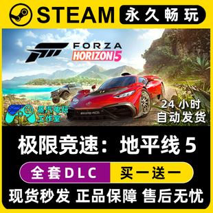 激活码 CDKEY全DLC兑换码 Steam游戏正版 入库 极限竞速：地平线5