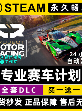 Project Motor Racing 专业赛车计划Steam联机单机游戏序列号密钥