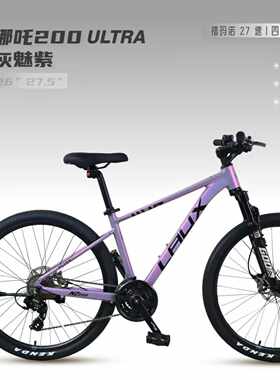 四活塞油刹氛围灯码表