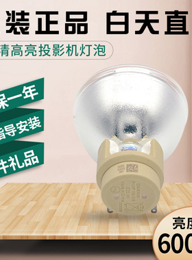 丽讯D5290U/D5380U/D5390HD/D5010/D5110W/D5011-WNL投影机灯泡