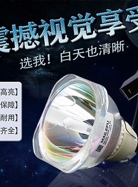 适用于爱普生投影机仪灯泡CH-TW5700 TW5400 S05 W06 X29 FH52 TW650 X06 ELPLP88 ELPLP96 ELPLP97