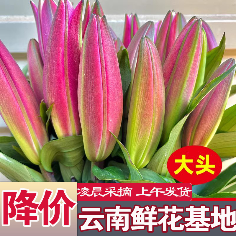 鲜花花束云南鲜花基地直发香水百合花速递同城水养插花