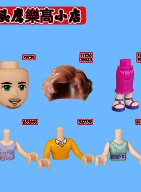 乐购拼插积木 艾玛之家41095人仔夏洛特腿艾玛配件路易斯身体表情