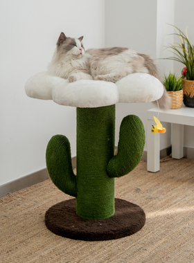 网红花朵仙人掌猫爬架猫窝猫树一体磨爪子布偶缅因肥猫大型猫