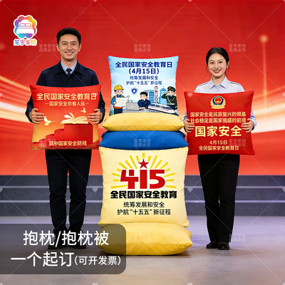 2026护航十五五415国家安全教育日主题宣传活动伴手礼品抱枕靠垫