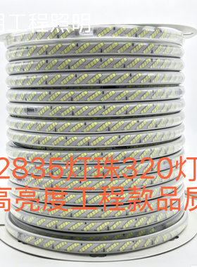 2835灯珠320灯高亮款led灯带户外防水家用吊顶外墙亮化灯带