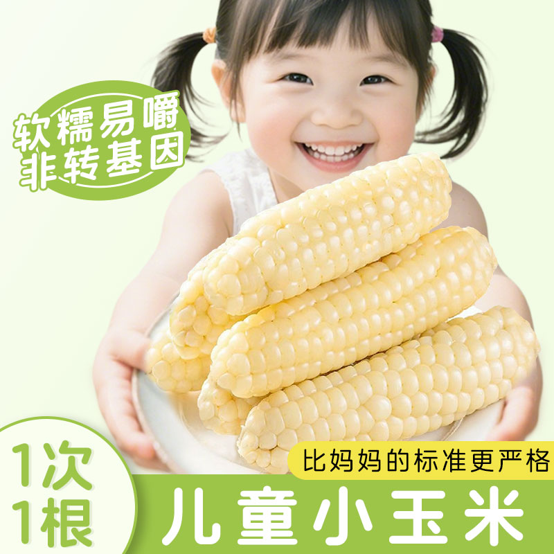 云南西双版纳拇指玉米