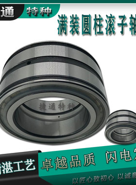 双列满滚子轴承SL045015/0450116/045017/045018/045019/045020PP