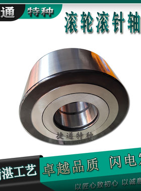 重载支撑滚轮双列滚子滚针轴承 NNTR38x110x54-2ZL/50x130x65-2ZL