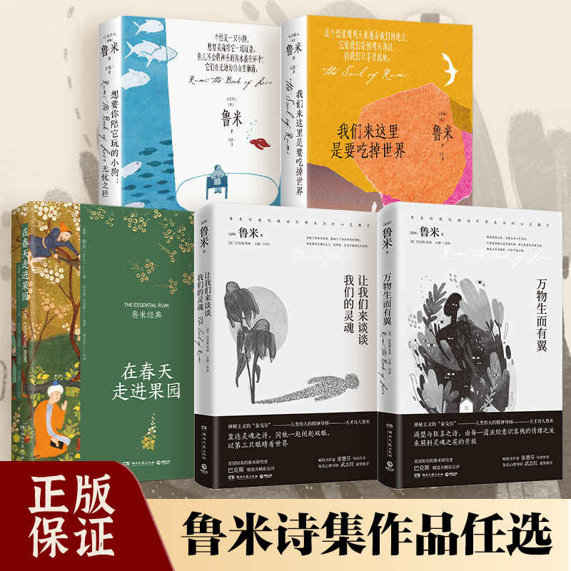 【官方正版】在春天走进果园  鲁米诗集 鲁米的诗 外国诗歌集 让我们来谈谈我们的灵魂 万物生而有翼博集天卷图片
