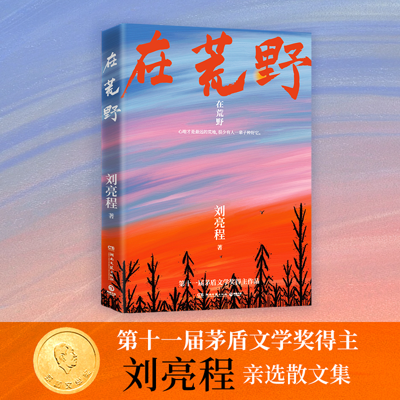 【现货】在荒野 刘亮程著 收录近40篇经典散文 直击无数人孤独内