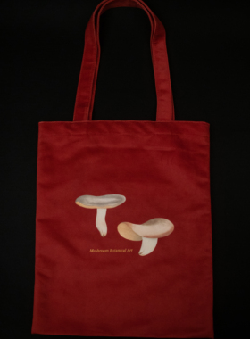 【官方正版】一只漂亮的蘑菇袋    印有蘑菇图鉴插画的红色绒布帆布包   蘑菇图鉴帆布包  绒布博集天卷
