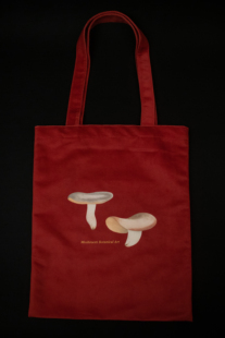 【官方正版】一只漂亮的蘑菇袋    印有蘑菇图鉴插画的红色绒布帆布包   蘑菇图鉴帆布包  绒布博集天卷