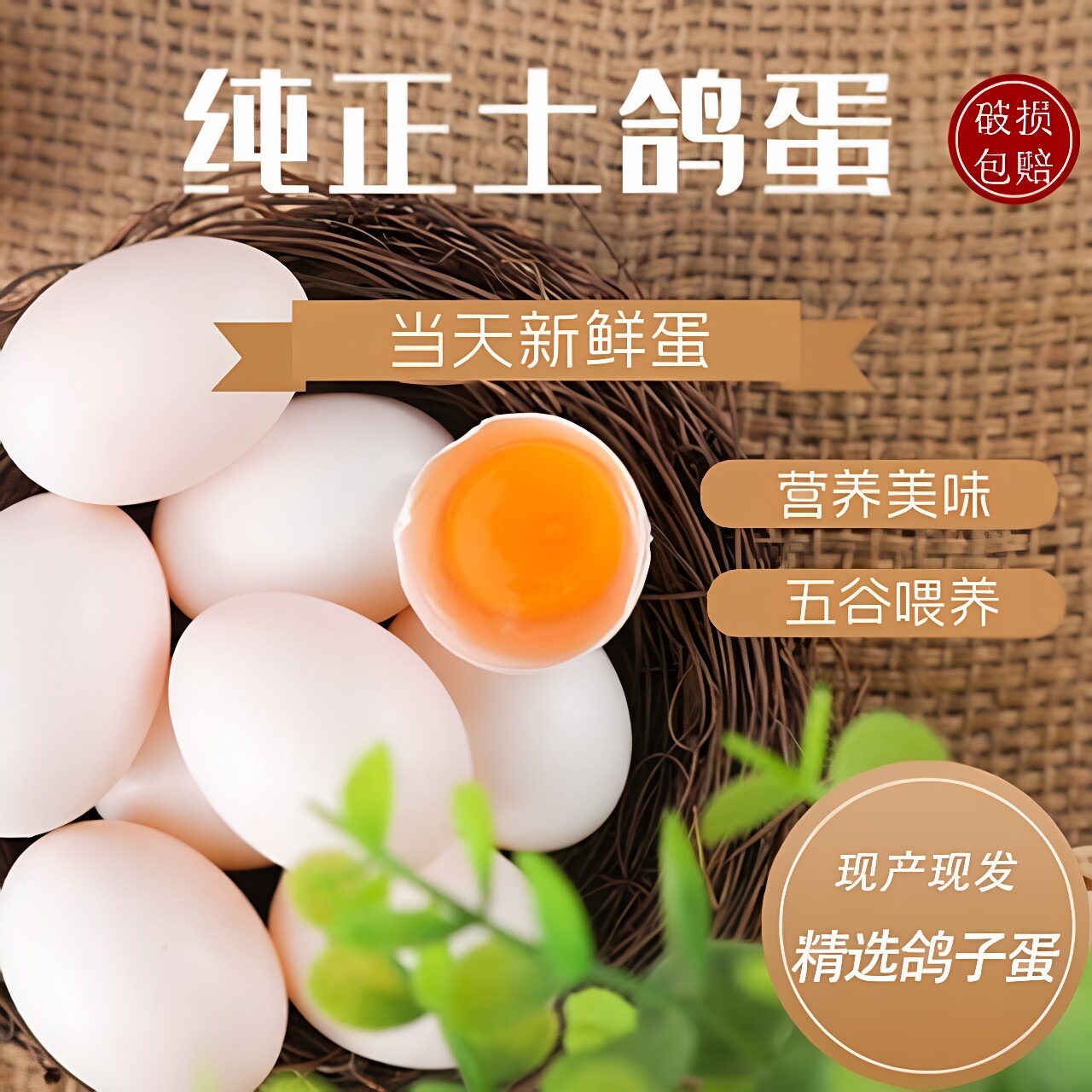 农家散养新鲜五谷鸽蛋孕婴辅食