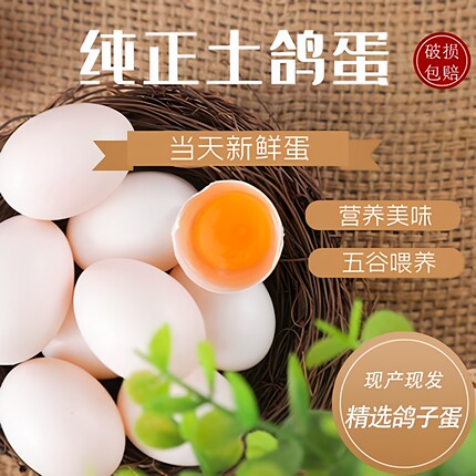 农家散养新鲜鸽子蛋30枚/45枚/60枚鸽蛋五谷杂粮喂养孕婴宝宝辅食
