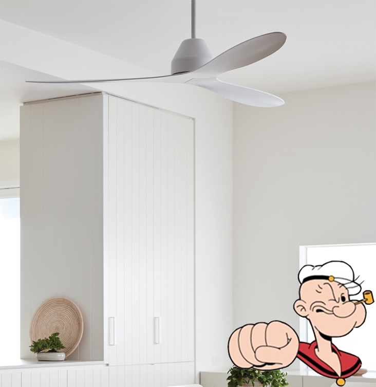 Lucci Air WHITEHAVEN现代欧式简约客厅 卧室 咖啡厅风扇香港代购