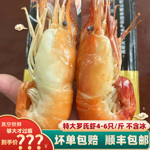 罗氏虾沼虾新鲜熟冻大虾速冻大头鲜虾巨型基围虾超大海鲜水产鲜活