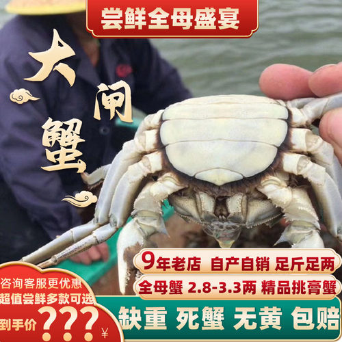 全母精品挑膏蟹大闸蟹2.5两