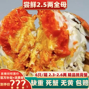 精品挑膏大闸蟹鲜活螃蟹现货海鲜水产河蟹2.3—2.6两全母蟹 活蟹
