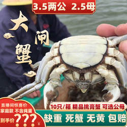 [活蟹]兴化大闸蟹鲜活现货3.5两公蟹2.5两全母蟹螃蟹河蟹10只礼盒