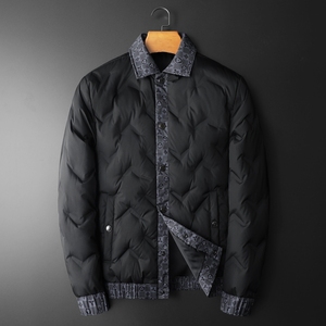 钱塘6014货号247P240控328秋冬款羽绒服男