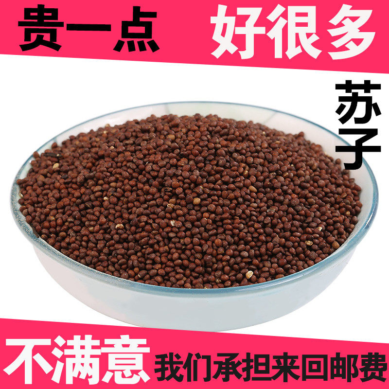 苏子中药材新货 紫苏子 苏子 正品无硫苏子 500克包邮