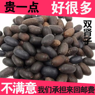 龙凤子500g 免邮 肾树宝 双肾子中药材野生双肾子 费