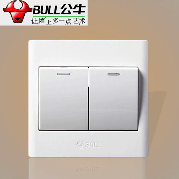 公牛二开双联单控g06白色面板开关家用暗装开灯关灯两位双开单控