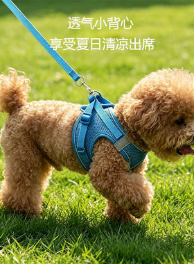 小猫牵引绳背心式泰迪比熊小型犬胸背带猫咪遛兔子绳链宠物用品