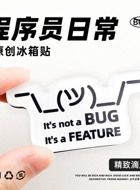 不正常青年原创程序员冰箱贴创意幽默装饰码农IT礼物bug搞怪周边