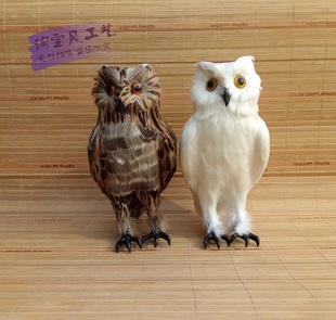 仿真羽毛猫头鹰工艺品羽毛鸟类标本摆件摄影道具静态模型家居摆设
