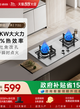 德意燃气灶不锈钢家用煤气灶天然气灶炉灶液化气灶台节能713AG