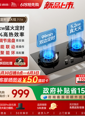 德意燃气灶煤气灶双灶家用一级能效大火力定时普遍适配717A
