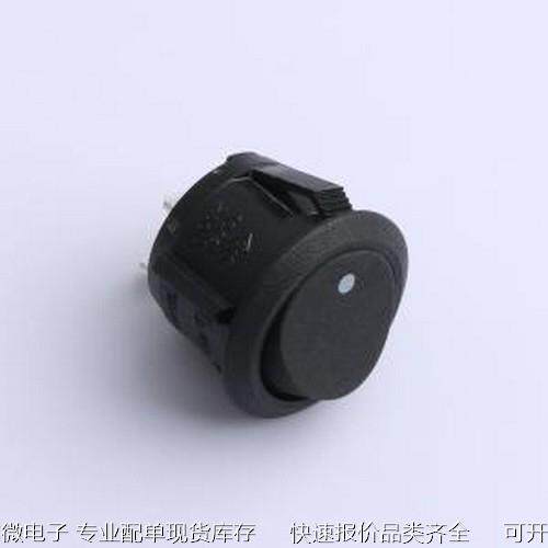 SS11-BBDWT-RR23-R 船型开关 翘板开关 插件原装现货