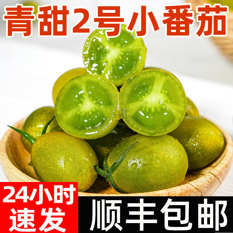 青口蜜圣女果绿色青甜2号小番茄新鲜绿千禧即食小柿子生吃