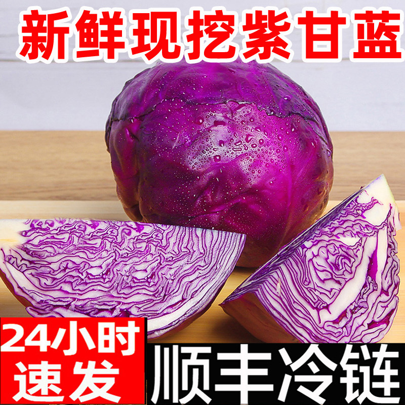紫甘蓝新鲜 紫包菜球顺丰蔬菜紫色椰菜卷心沙拉生菜紫甘兰批发5斤